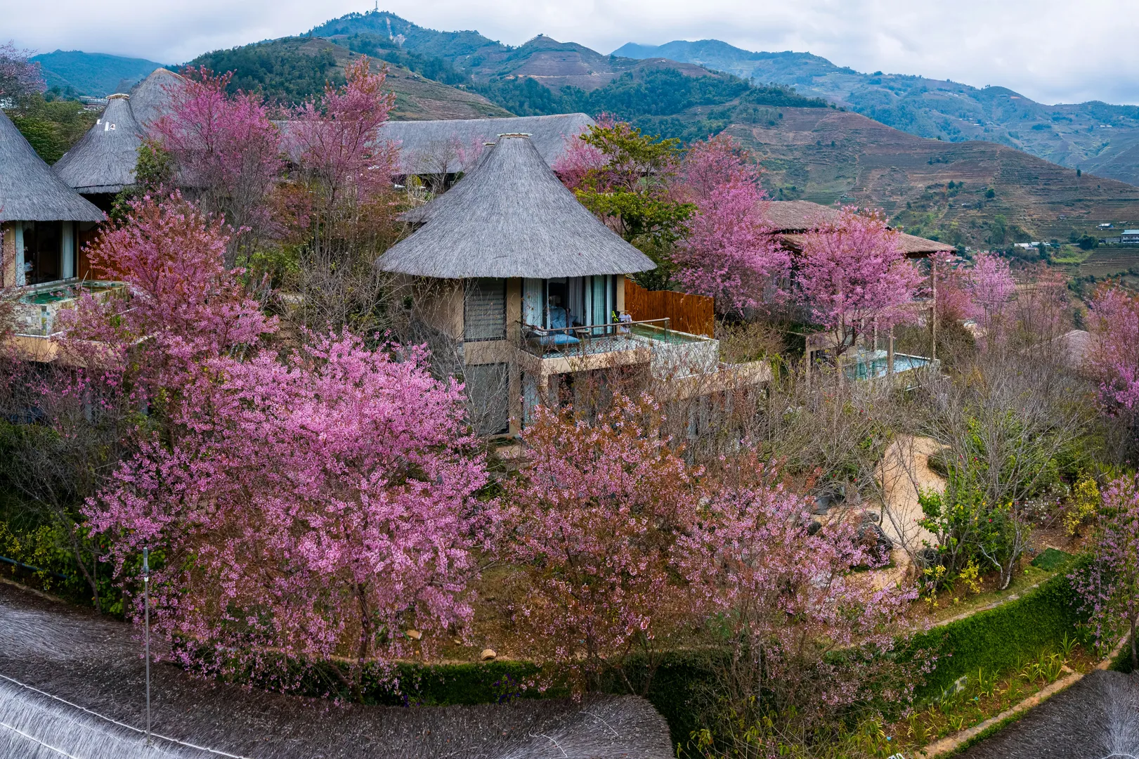 Mu Cang Chai
