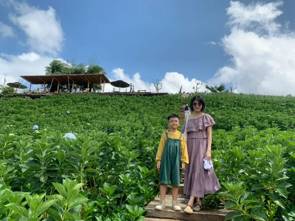 ✅ Review The Florest – Hoa Trong Rừng Đà Lạt 2025: Đẹp nhưng chưa đủ “đã” – hình ảnh 5