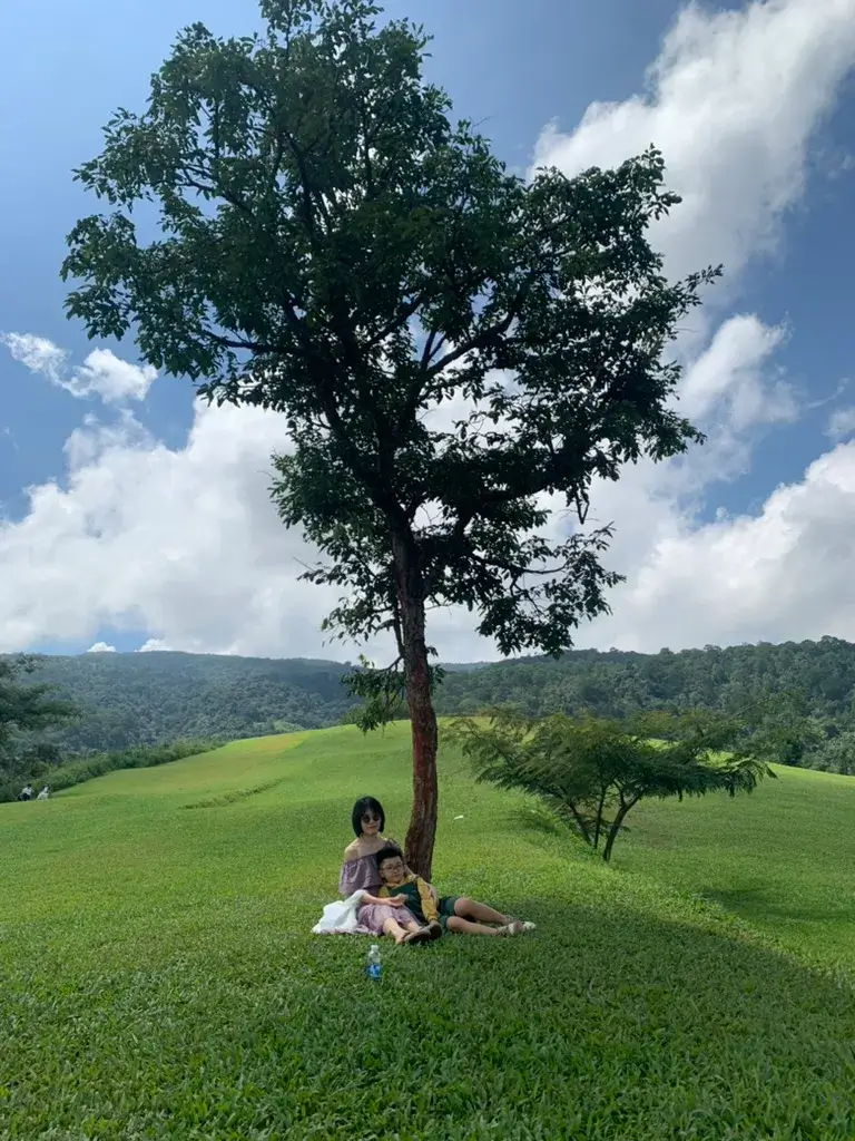 ✅ Review The Florest – Hoa Trong Rừng Đà Lạt 2025: Đẹp nhưng chưa đủ “đã” – hình ảnh 7