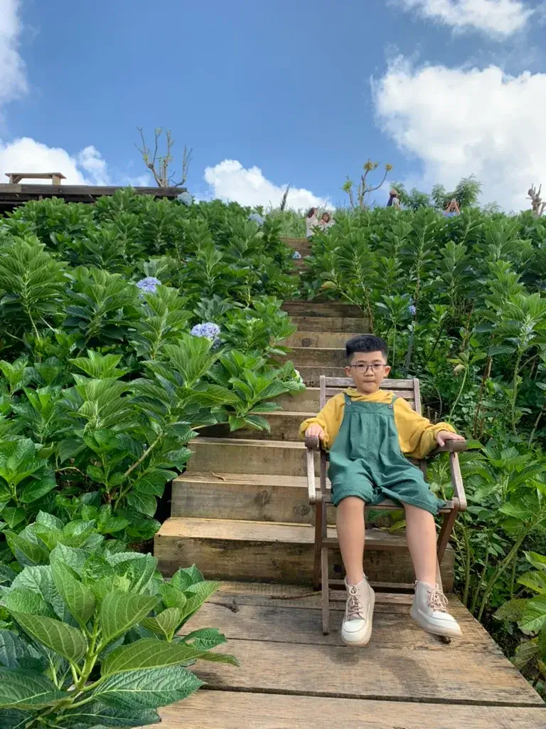 ✅ Review The Florest – Hoa Trong Rừng Đà Lạt 2025: Đẹp nhưng chưa đủ “đã” – hình ảnh 9
